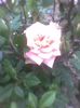 Imag0406