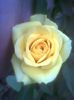 Imag0412