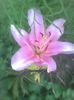 Imag0466
