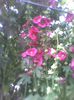 Imag0488