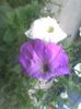 Imag0489