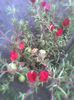 Imag0491