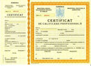 diploma calificare