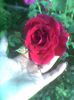 Imag0498