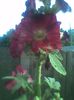Imag0499