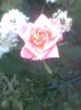 Imag0501