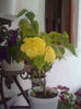 P300613_20.240003