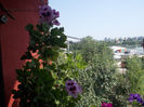DSCN9348_4803