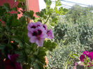 DSCN9349_4804