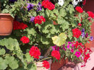 DSCN9351_4806