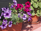 DSCN9352_4807