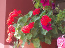 DSCN9353_4808