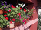 DSCN9355_4810