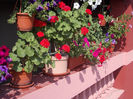 DSCN9356_4811