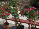 DSCN9360_4815