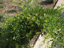DSCN9361_4816