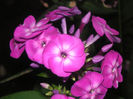 SANY0039