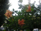 SANY0049