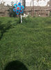 Fotografie3602