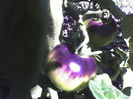 02-07-13_1047
