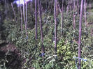 02-07-13_1058