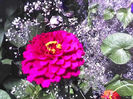 02-07-13_1227