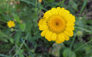 DSCN0748