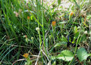 DSCN0756