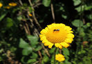 DSCN0779