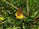 DSCN0801