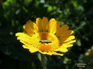 RSCN0731