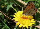 RSCN0807