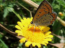 RSCN0818