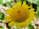 RSCN0821