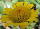 RSCN0822