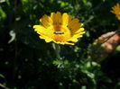RSCN0845