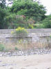 gerrys pics 004