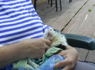 gerrys pics 005