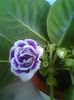 Fotogr.0709