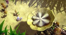 Tinker_Bell_Secret_of_the_Wings_1356143920_3_2012