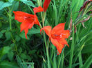 DSCF5047