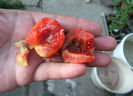 DSCF5071
