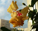 P1450751