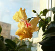 P1450753