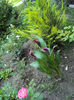 DSC07470