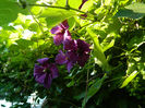 DSCN5088