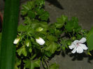 DSCN5093