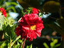 DSCN5123