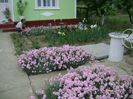 DSC09460