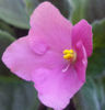 DSC01649